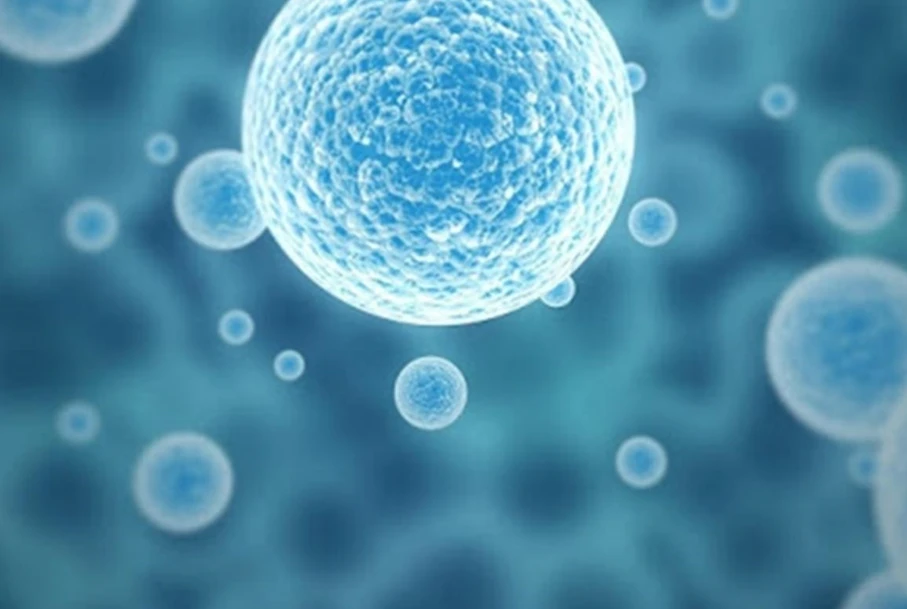 Cẩm nang tế bào gốc