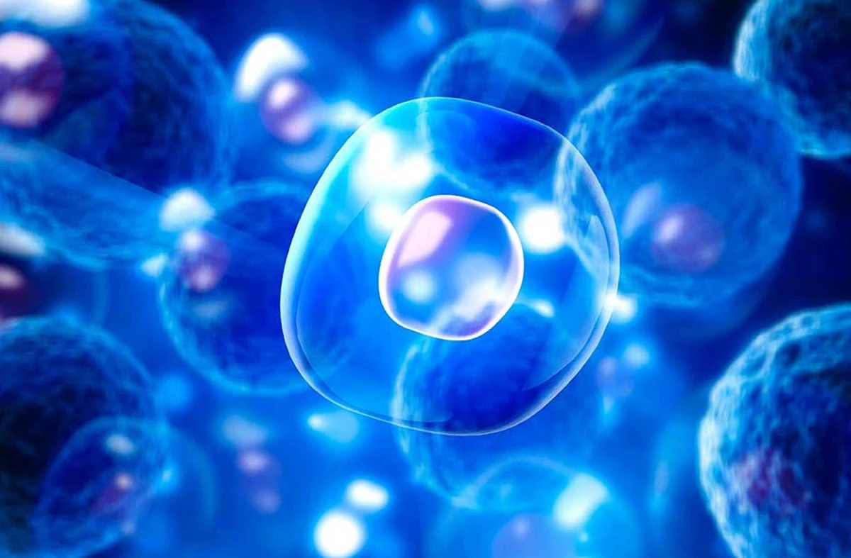 10 cách tế bào gốc thúc đẩy y học phát triển