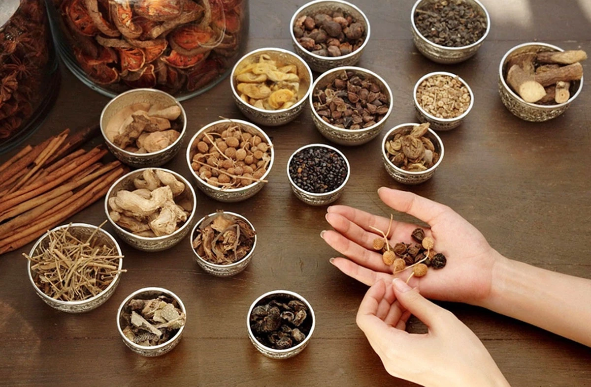 Dấu ấn Việt Nam: Y học cổ truyền trong đời sống đương đại | VTV4