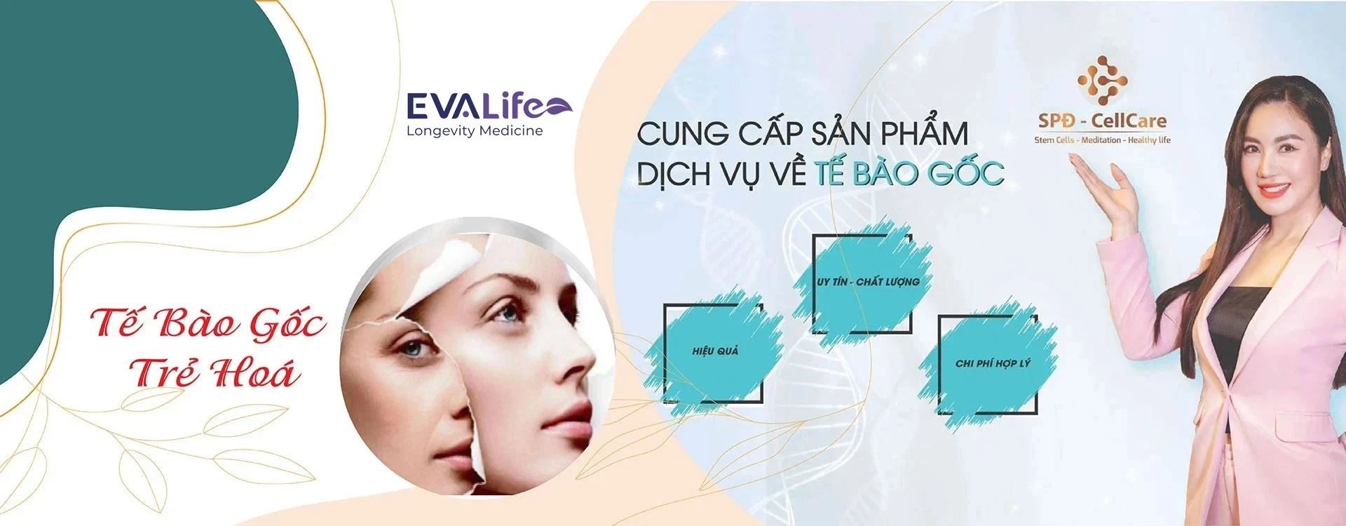 Cung cấp sản phẩm - Dịch vụ tế bào gốc